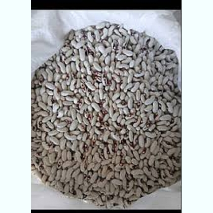 ���������� ������� �� ��� ������ �� ������������� ����������.