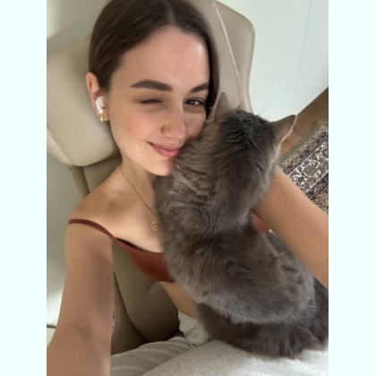 �����������, ������ ������������ ������������ ������������� 