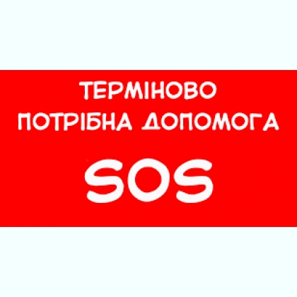 �������� ������� - ���� ��������.����.�� ����� - ������ ���