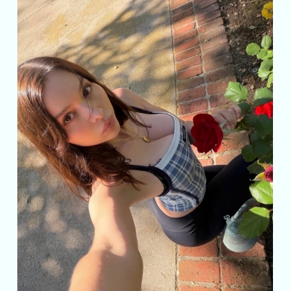 ���� ���� ������ �������, ������ ������� ���� �� ������ ������